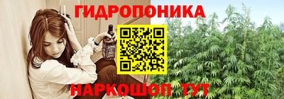 гидра Комсомольск-на-Амуре