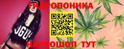 гидра Комсомольск-на-Амуре