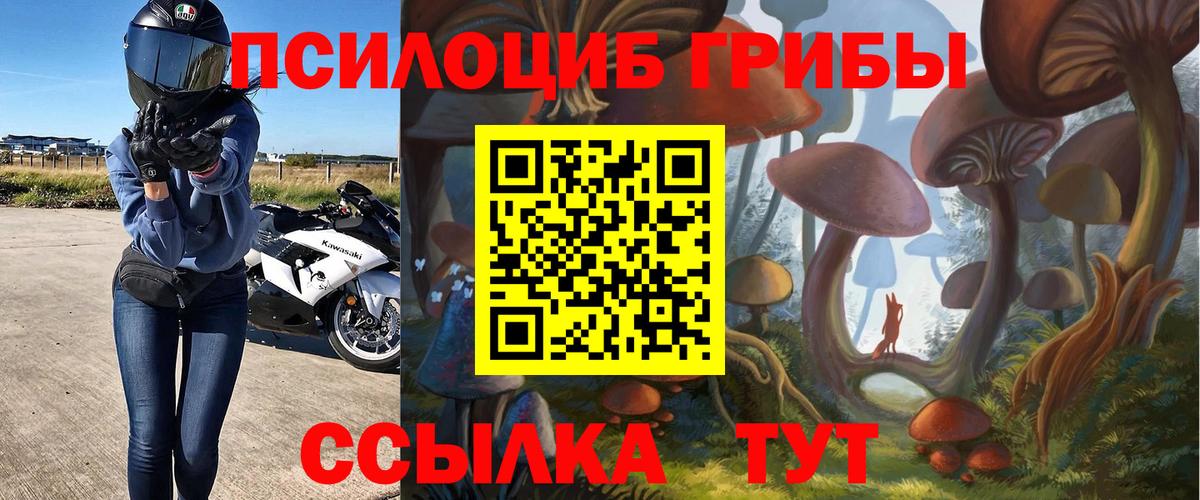 Кинель  Галлюциногенные грибы ЛСД  Вход с VPN 