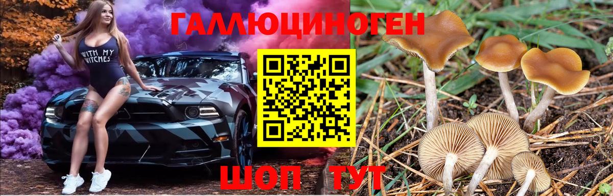 Галлюциногенные грибы GOLDEN TEACHER Кинель